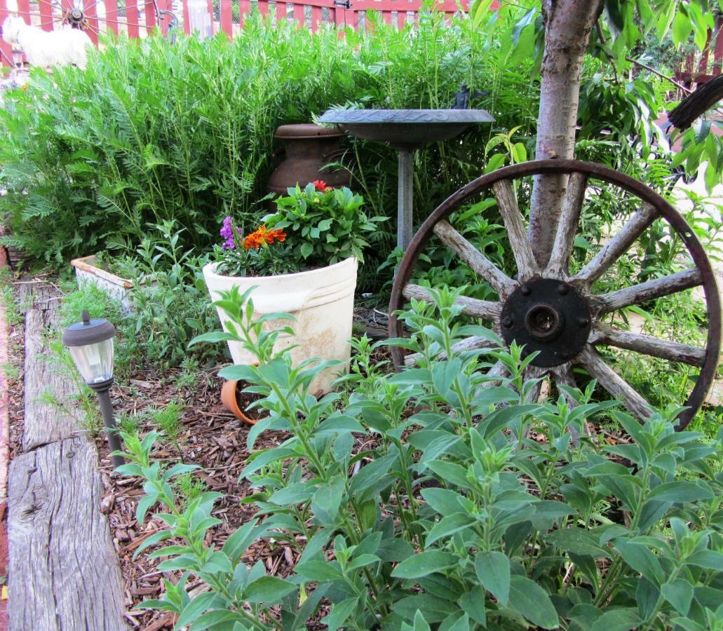 Avenue Hotel Bed And Breakfast Manitou Springs Exterior foto